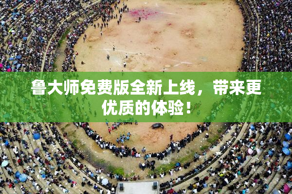 鲁大师免费版全新上线，带来更优质的体验！