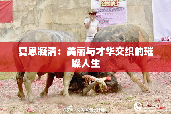 夏思凝清：美丽与才华交织的璀璨人生