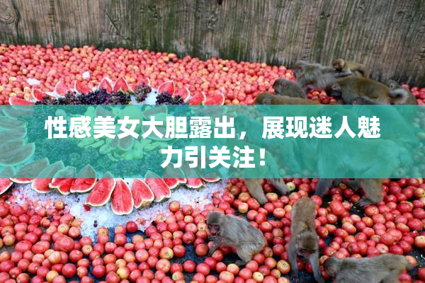 性感美女大胆露出，展现迷人魅力引关注！