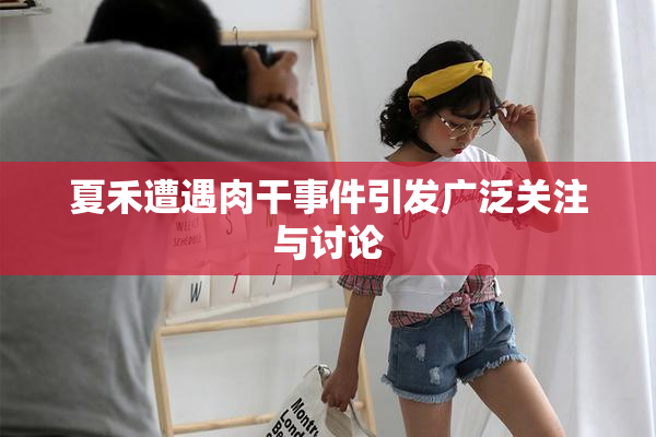 夏禾遭遇肉干事件引发广泛关注与讨论
