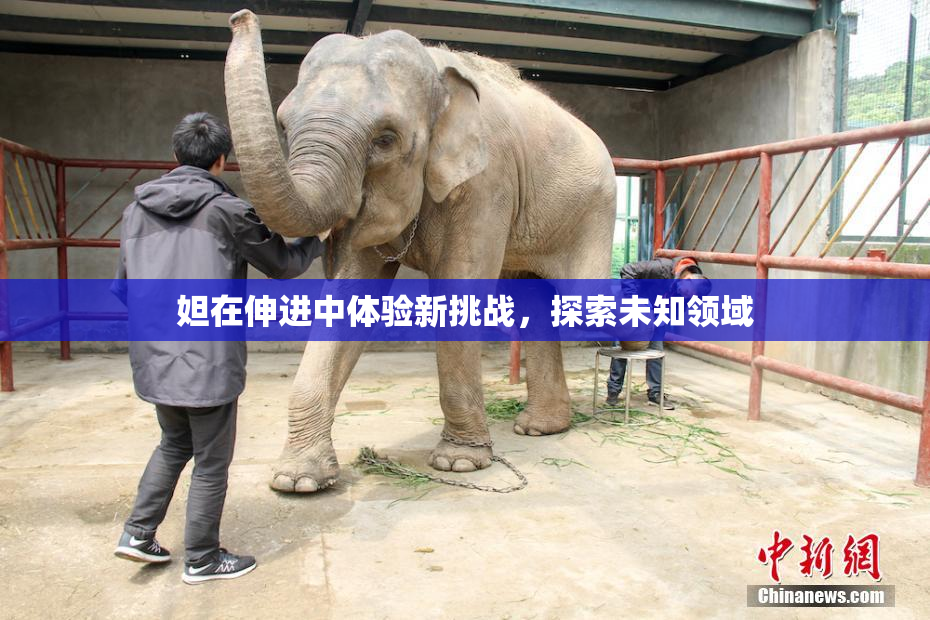 妲在伸进中体验新挑战，探索未知领域
