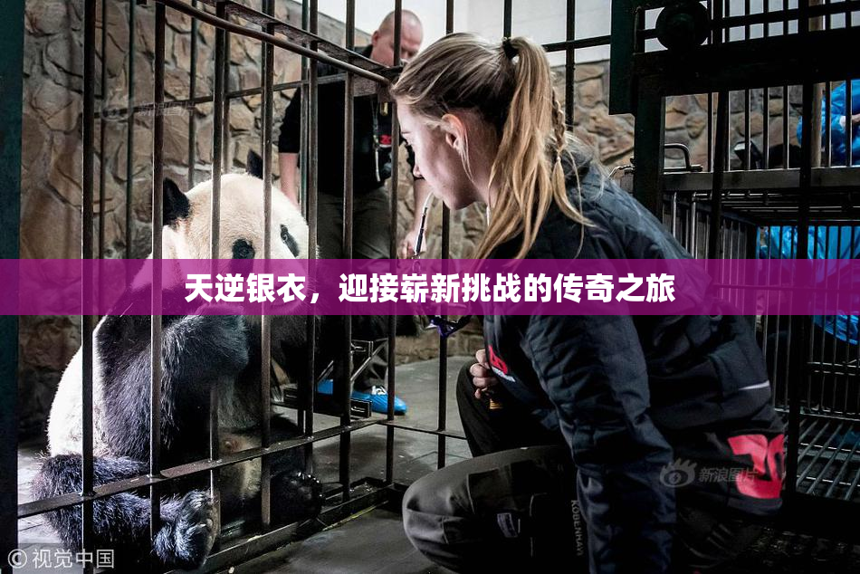 天逆银衣，迎接崭新挑战的传奇之旅