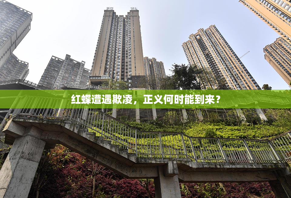 红蝶遭遇欺凌，正义何时能到来？