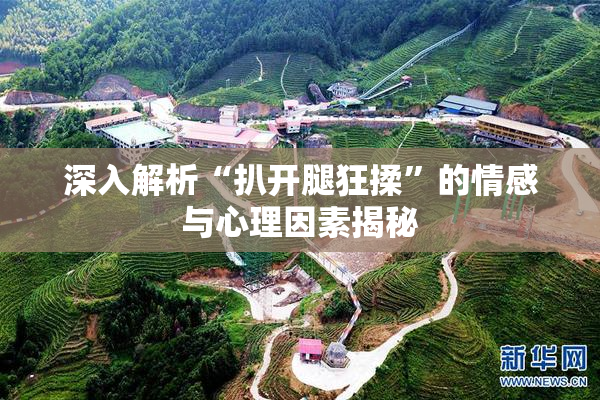 深入解析“扒开腿狂揉”的情感与心理因素揭秘