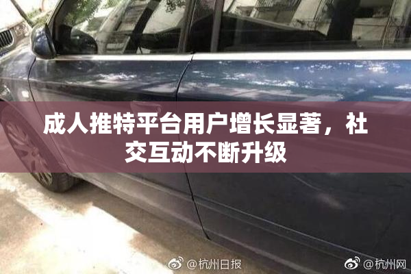 成人推特平台用户增长显著，社交互动不断升级