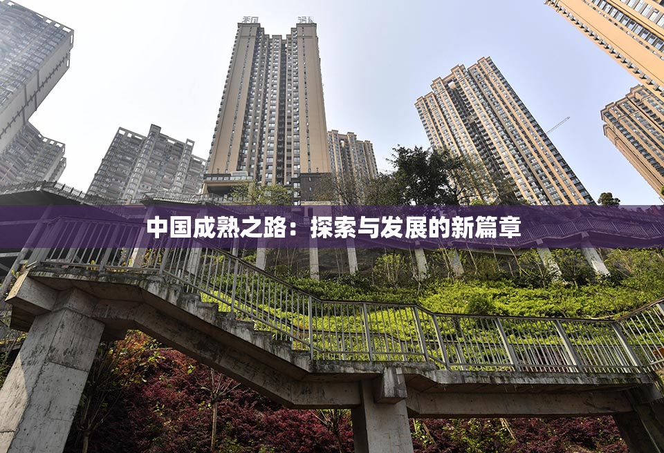 中国成熟之路：探索与发展的新篇章