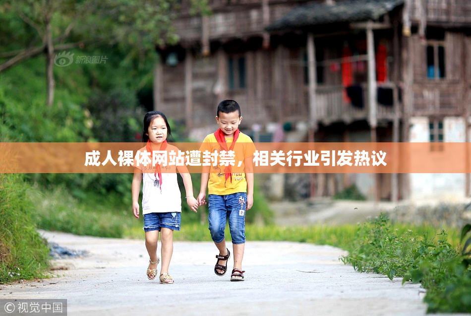 成人裸体网站遭封禁，相关行业引发热议
