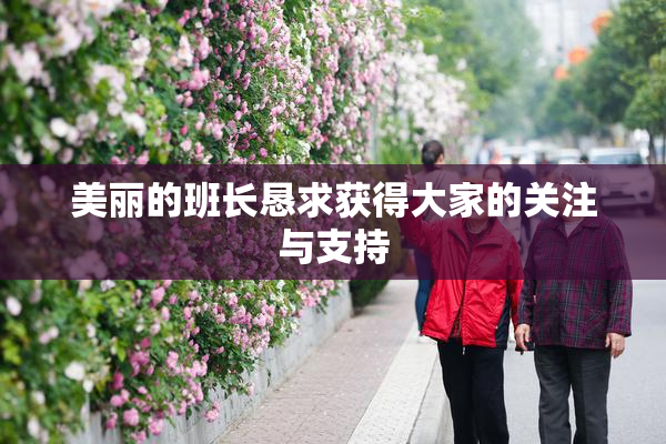 美丽的班长恳求获得大家的关注与支持
