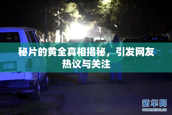 秘片的黄全真相揭秘，引发网友热议与关注
