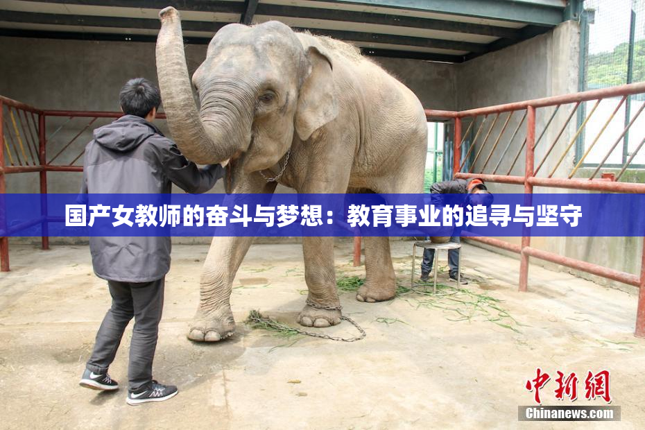国产女教师的奋斗与梦想：教育事业的追寻与坚守