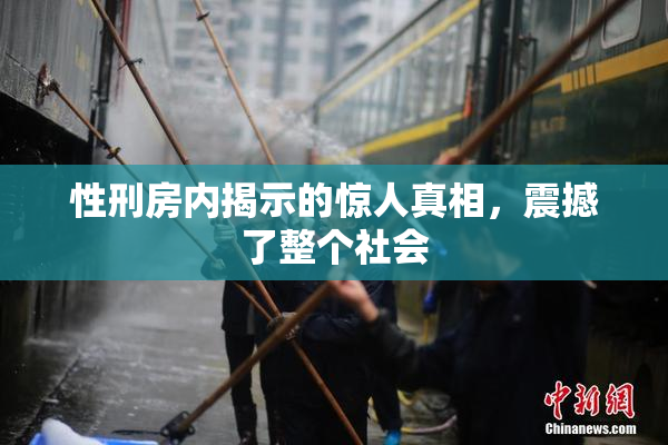 性刑房内揭示的惊人真相，震撼了整个社会
