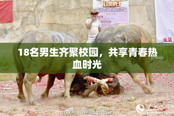 18名男生齐聚校园，共享青春热血时光