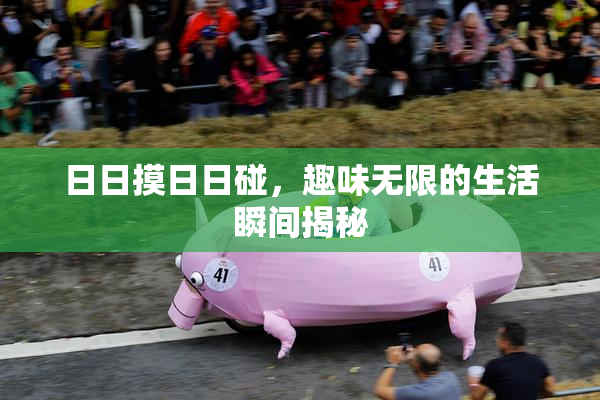 日日摸日日碰，趣味无限的生活瞬间揭秘