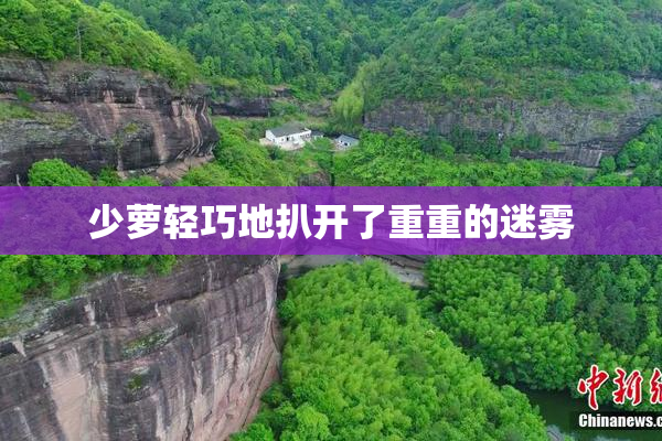 少萝轻巧地扒开了重重的迷雾