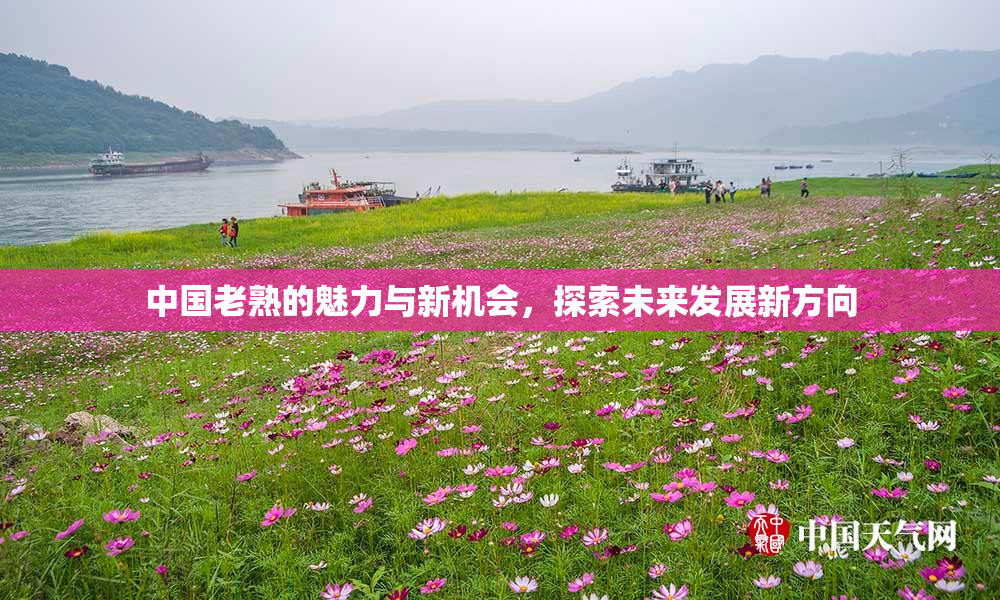 中国老熟的魅力与新机会，探索未来发展新方向