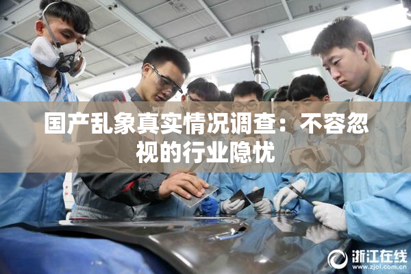 国产乱象真实情况调查：不容忽视的行业隐忧