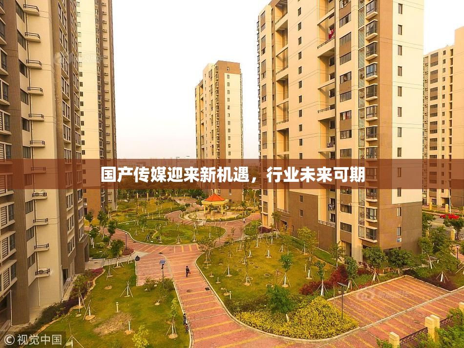 国产传媒迎来新机遇，行业未来可期