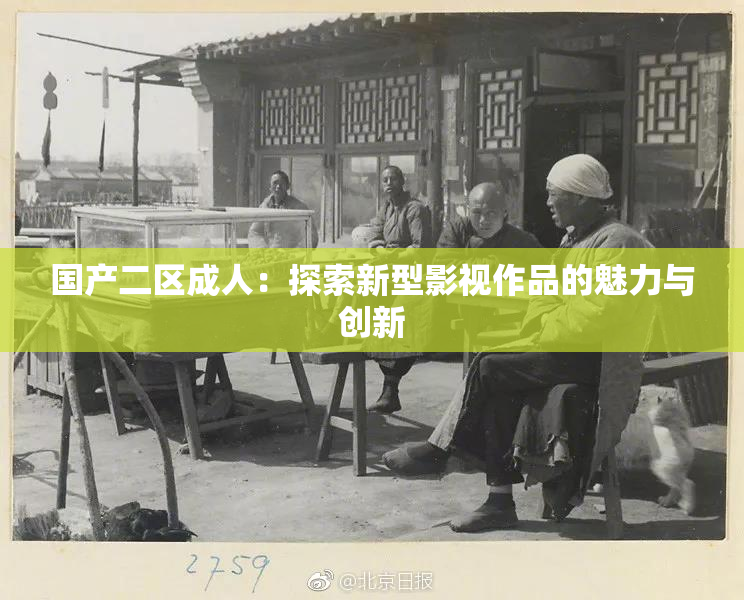 国产二区成人：探索新型影视作品的魅力与创新
