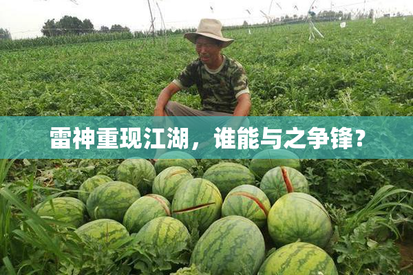 雷神重现江湖，谁能与之争锋？