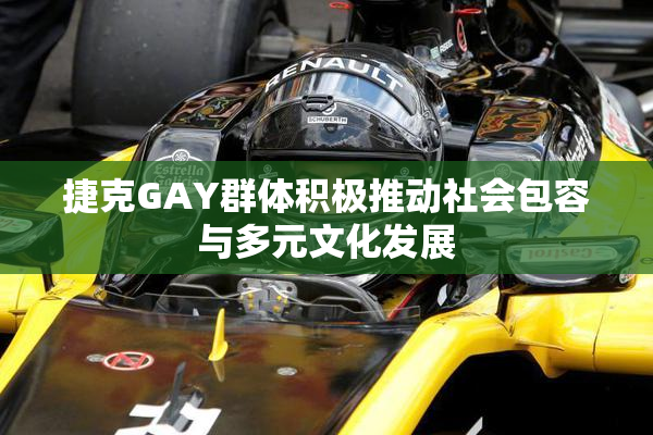 捷克GAY群体积极推动社会包容与多元文化发展