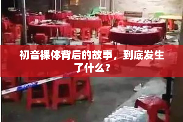 初音裸体背后的故事，到底发生了什么？