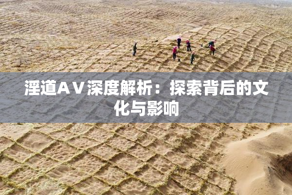 淫道AⅤ深度解析：探索背后的文化与影响