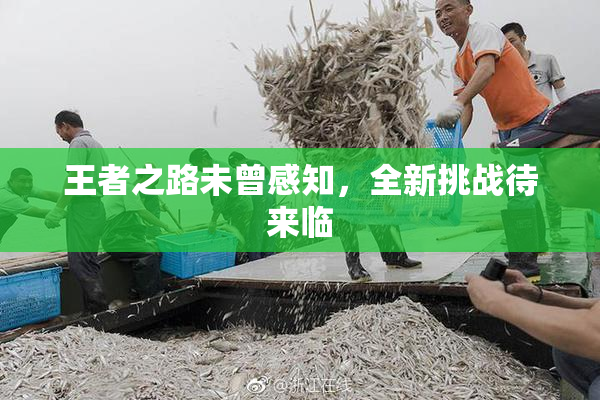 王者之路未曾感知，全新挑战待来临