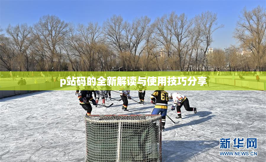 p站码的全新解读与使用技巧分享