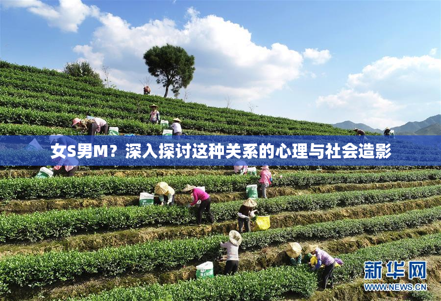女S男M？深入探讨这种关系的心理与社会造影