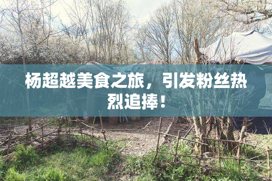 杨超越美食之旅，引发粉丝热烈追捧！