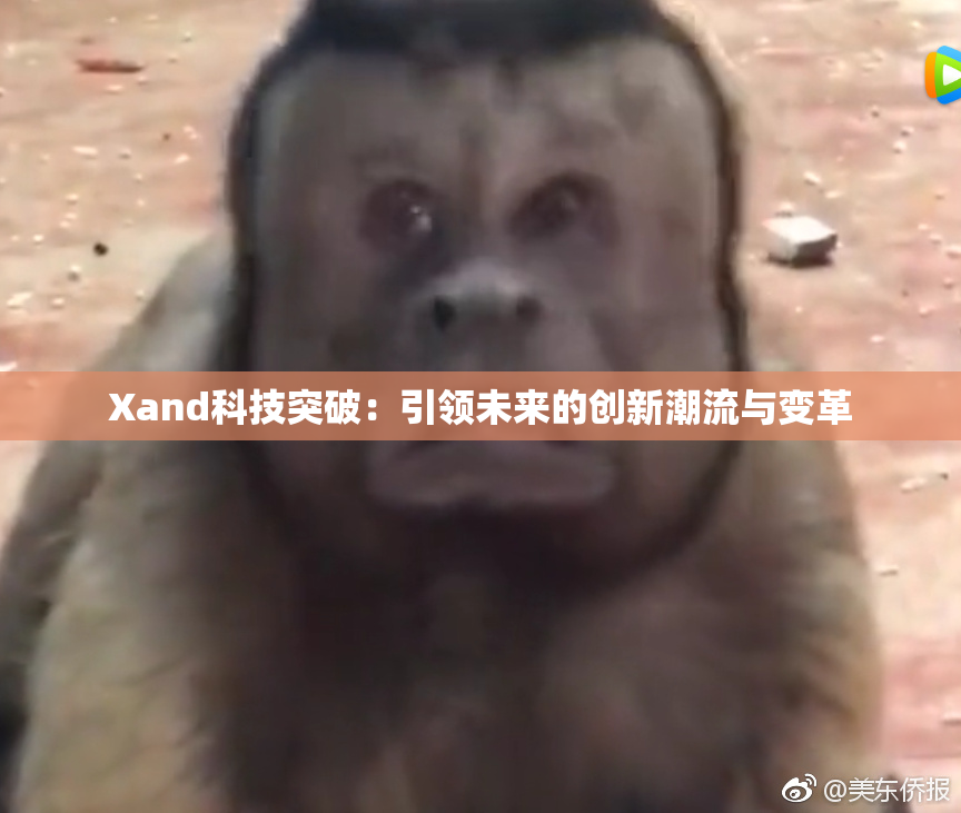 Xand科技突破：引领未来的创新潮流与变革