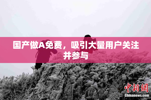 国产做A免费，吸引大量用户关注并参与