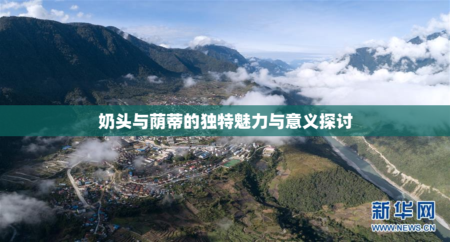 奶头与荫蒂的独特魅力与意义探讨