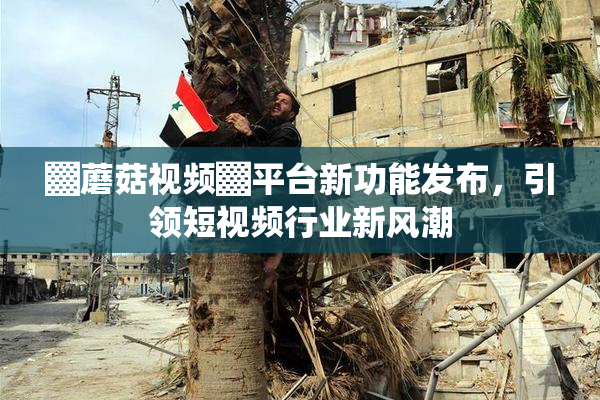 ▓蘑菇视频▓平台新功能发布，引领短视频行业新风潮