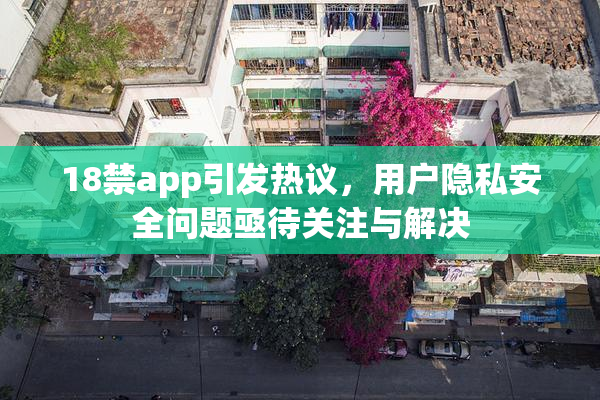 18禁app引发热议，用户隐私安全问题亟待关注与解决