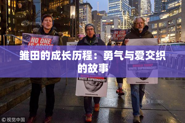 雏田的成长历程：勇气与爱交织的故事