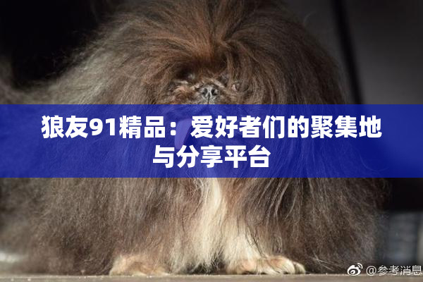 狼友91精品：爱好者们的聚集地与分享平台