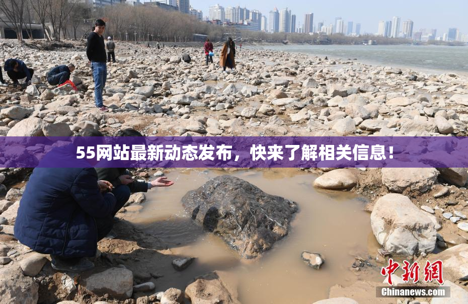 55网站最新动态发布，快来了解相关信息！