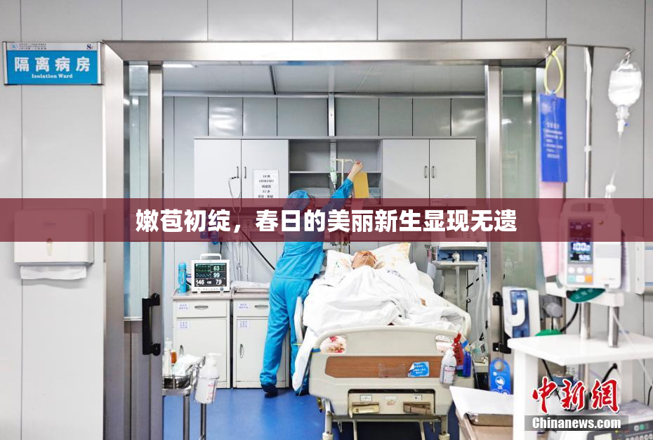 嫩苞初绽，春日的美丽新生显现无遗