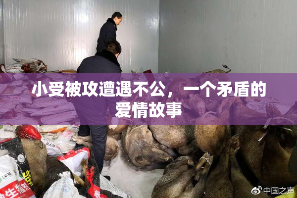 小受被攻遭遇不公，一个矛盾的爱情故事