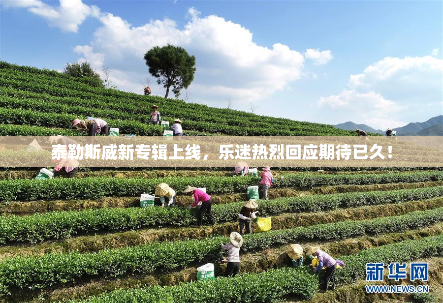 泰勒斯威新专辑上线，乐迷热烈回应期待已久！