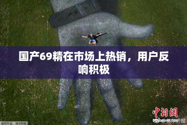 国产69精在市场上热销，用户反响积极