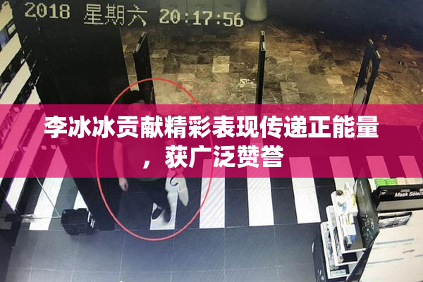 李冰冰贡献精彩表现传递正能量，获广泛赞誉