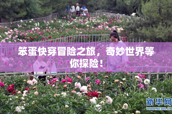 笨蛋快穿冒险之旅，奇妙世界等你探险！