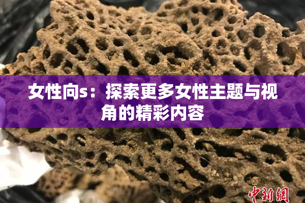 女性向s：探索更多女性主题与视角的精彩内容