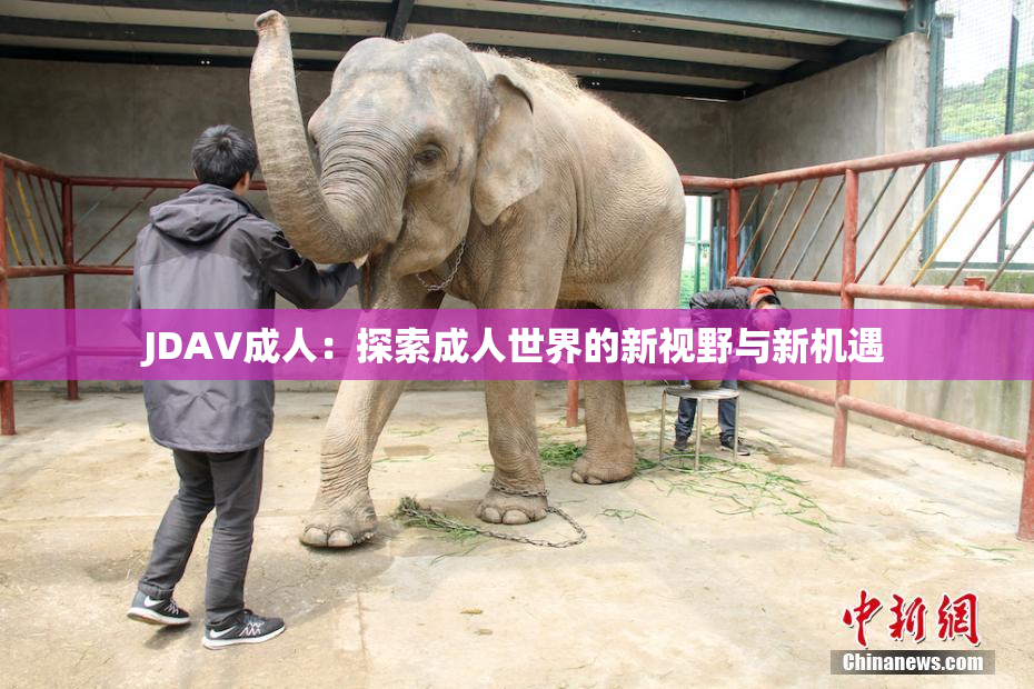JDAV成人：探索成人世界的新视野与新机遇