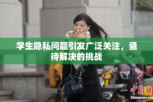 学生隐私问题引发广泛关注，亟待解决的挑战