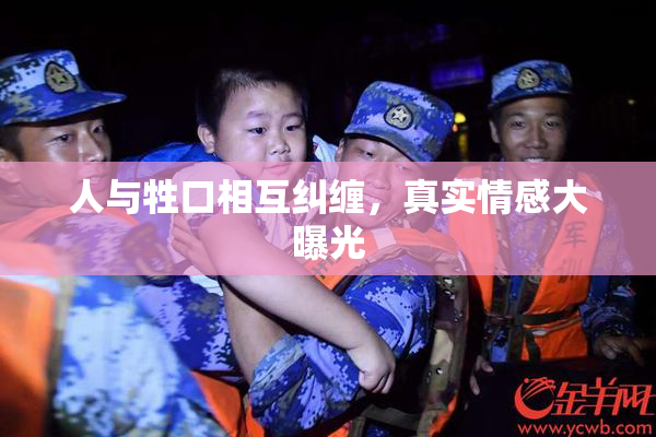 人与牲口相互纠缠，真实情感大曝光