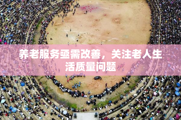 养老服务亟需改善，关注老人生活质量问题