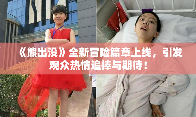 《熊出没》全新冒险篇章上线，引发观众热情追捧与期待！